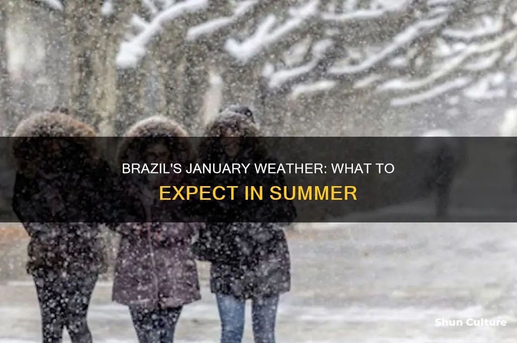 how is the weather in brazil in january