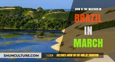 March Weather in Brazil: What to Expect and How to Prepare