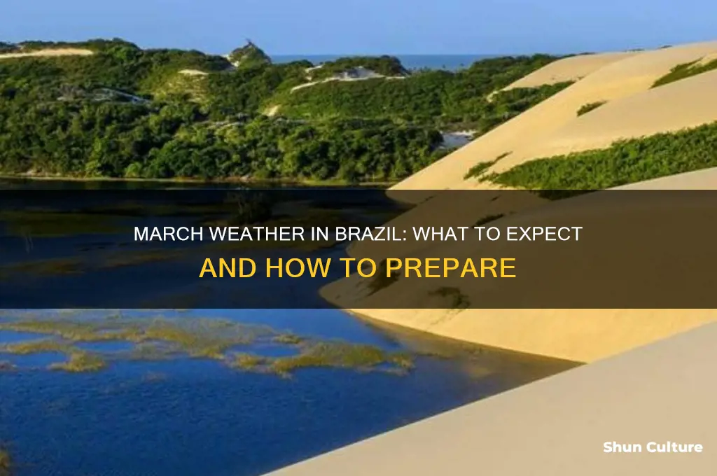 how is the weather in brazil in march