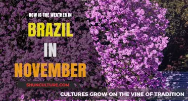 November Weather in Brazil: What to Expect When Visiting