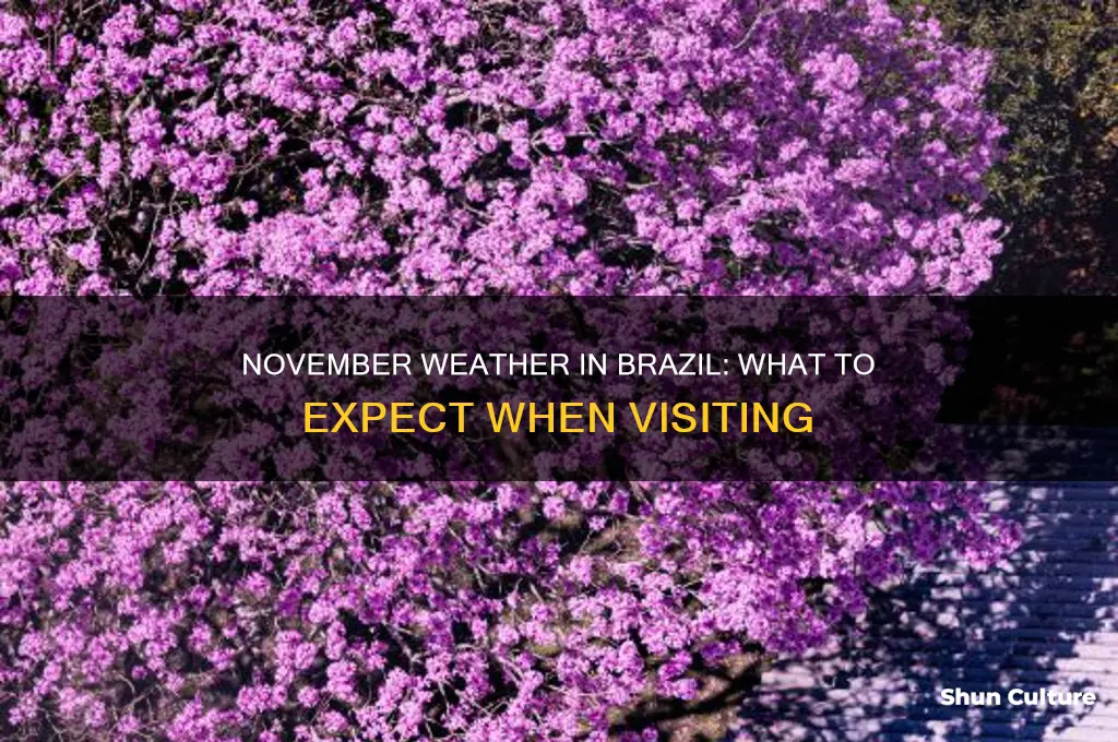 how is the weather in brazil in november