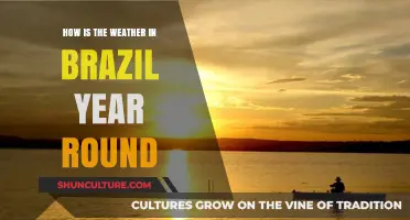 Brazil's Climate: Year-Round Weather Patterns and Seasonal Variations Explained