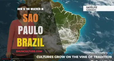 Exploring São Paulo's Climate: Weather Patterns and Seasonal Changes