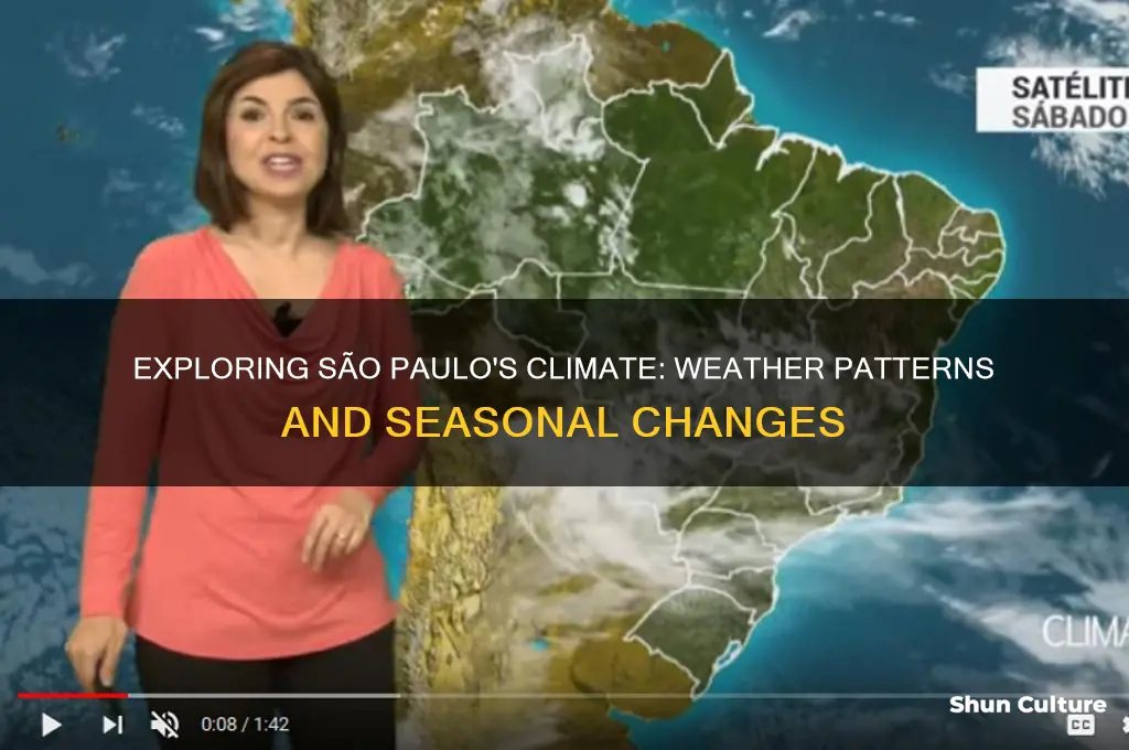 how is the weather in sao paulo brazil