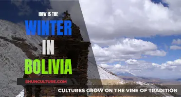 Exploring Bolivia's Wintry Wonders