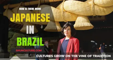 Exploring Brazil's Japanese Population: A Surprising Cultural Fusion