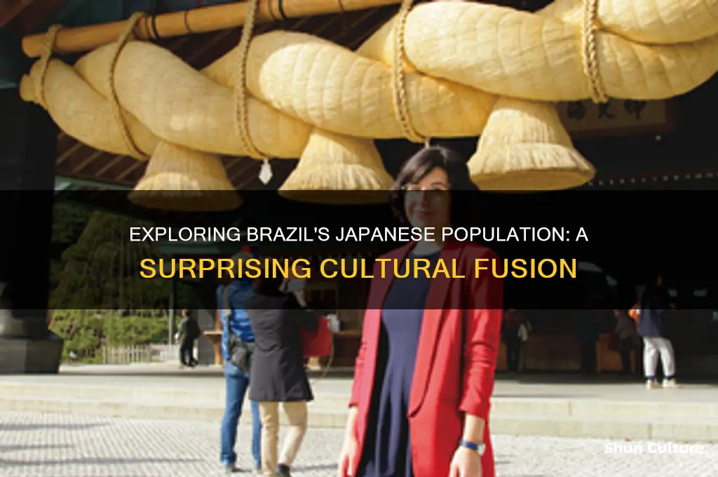 how is there more japanese in brazil
