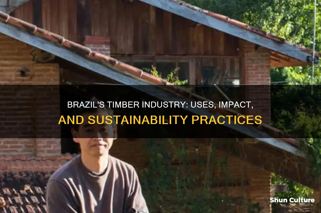 how is timber used in brazil