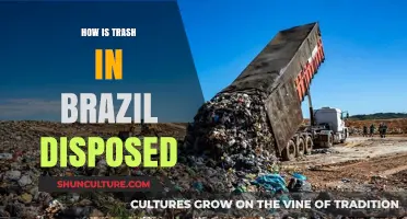 Brazil's Waste Management: Uncovering Trash Disposal Methods and Challenges