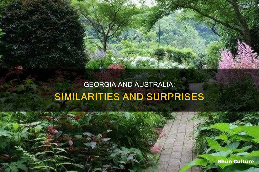 how is tye state of georgia like australia