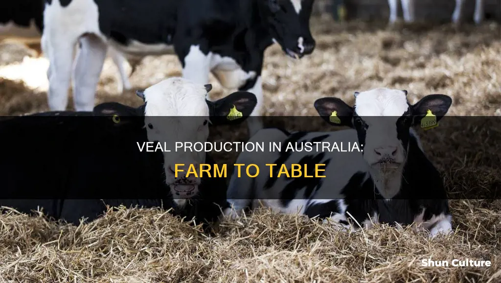 how is veal made in australia