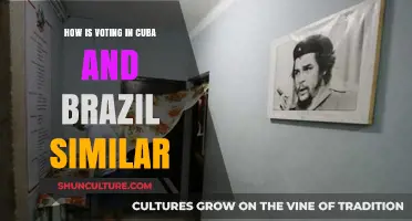 Cuba and Brazil: Shared Voting Systems and Democratic Practices Compared