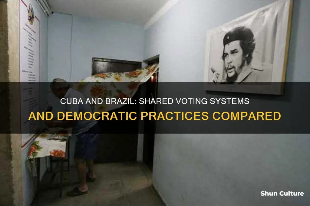 how is voting in cuba and brazil similar