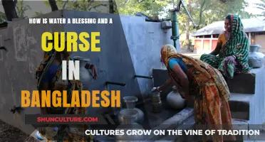 Bangladesh's Duality: Water's Life-Giving Power and Destructive Floods