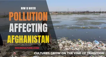 The Troubled Waters of Afghanistan: A Nation's Struggle with Pollution