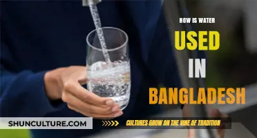 Bangladesh's Water Usage: Agriculture, Industry, and Daily Life Explained