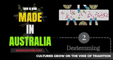 Australian Wine: From Vine to Glass