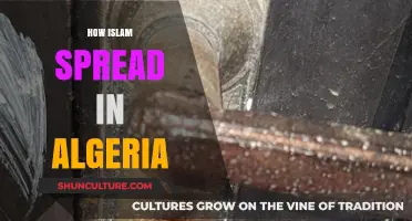 The Journey of Islam's Spread Across Algeria's Rich History