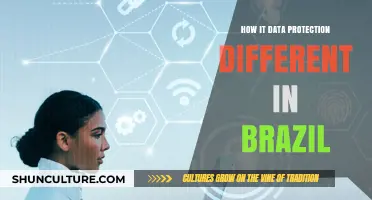 Brazil's Unique IT Data Protection Landscape: Key Differences Explained