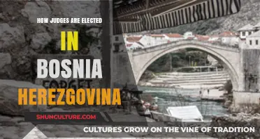 Understanding Bosnia and Herzegovina's Judicial Election Process: A Comprehensive Guide