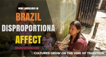Brazil's Landslides: Unequal Impact on Vulnerable Communities and Regions