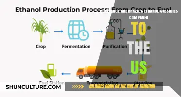 Brazil vs. US: Comparing Ethanol Subsidy Sizes and Impacts