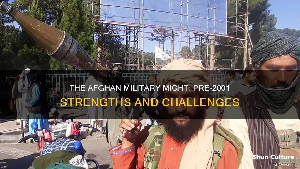 how large is afghanistan military prior to 2001