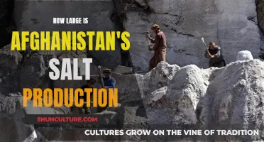 Afghanistan's Hidden Treasure: Unveiling the Vast Salt Reserves