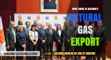 Algeria's Natural Gas Exports: Scale, Impact, and Global Significance