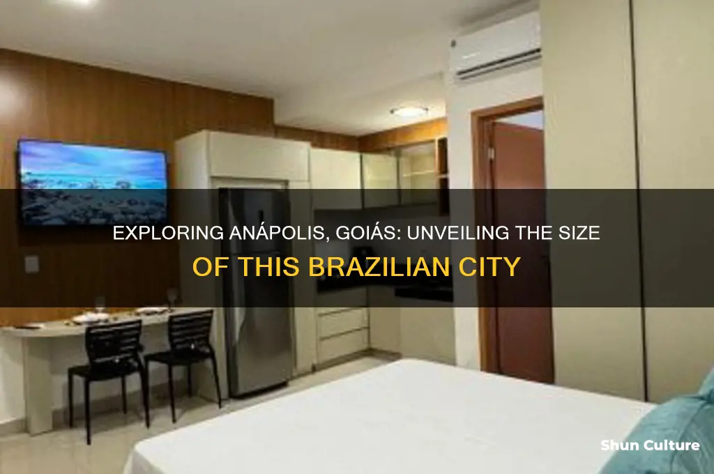 how large is anapolis goias brazil