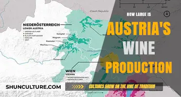 A Country's Wine: Austria's Surprising Wine Production