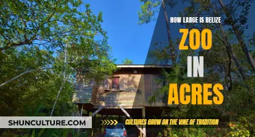 Belize Zoo's Wild Acreage