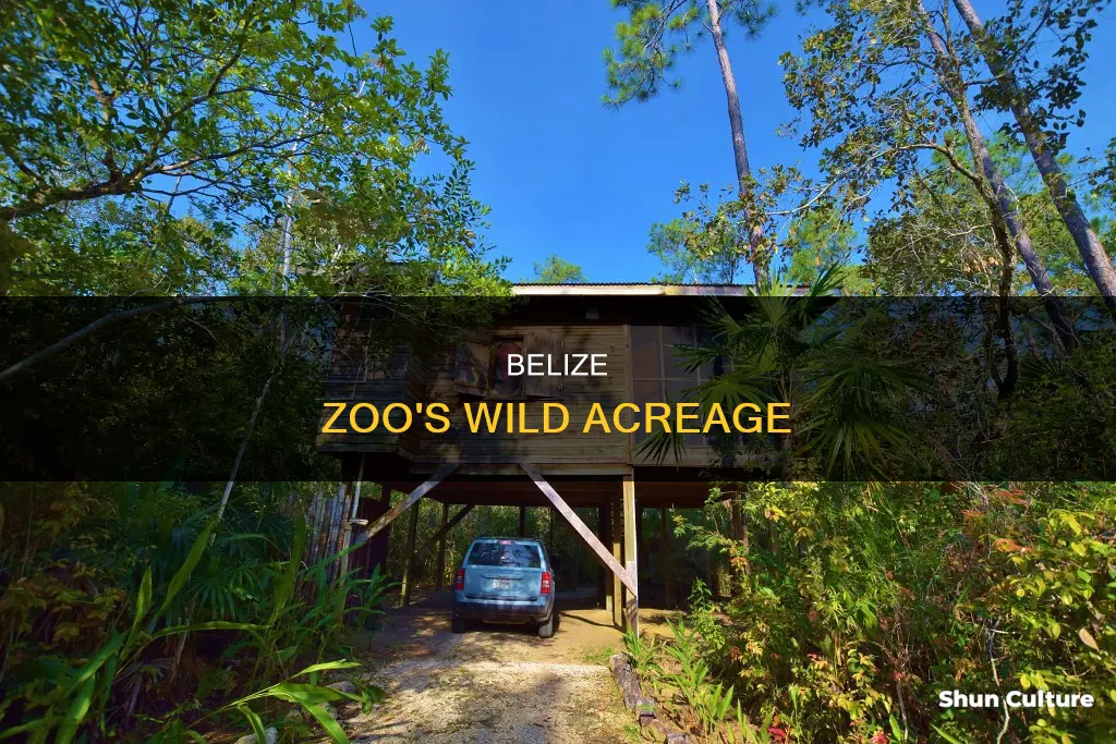 how large is belize zoo in acres