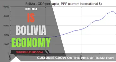 Bolivia's Economy: Size and Scope Explored