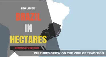 Exploring Brazil's Vast Land Area: Size in Hectares Revealed
