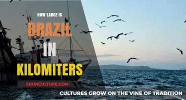 Exploring Brazil's Vast Size: Total Area in Kilometers Revealed
