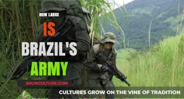 Brazil's Military Might: Exploring the Size and Strength of Its Army