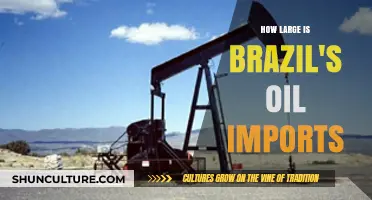 Brazil's Oil Imports: Scale, Sources, and Economic Impact