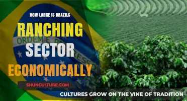 Brazil's Ranching Sector: Economic Impact and Global Significance Explored