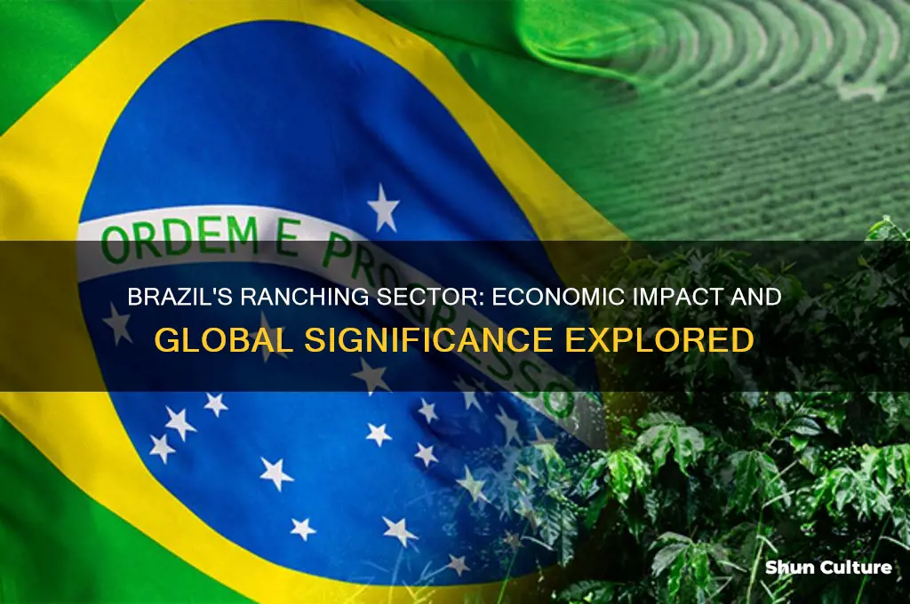 how large is brazils ranching sector economically