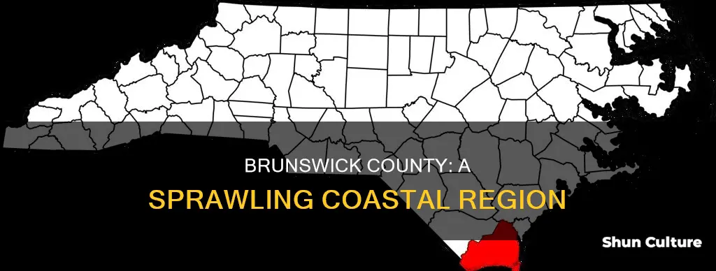 how large is brunswick county nc