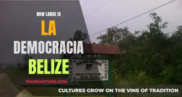 The Vastness of La Democracia, Belize: Exploring Its Expansive Reach