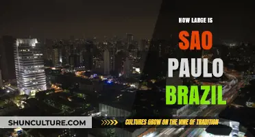 Exploring the Vast Size of São Paulo, Brazil: A Comprehensive Guide