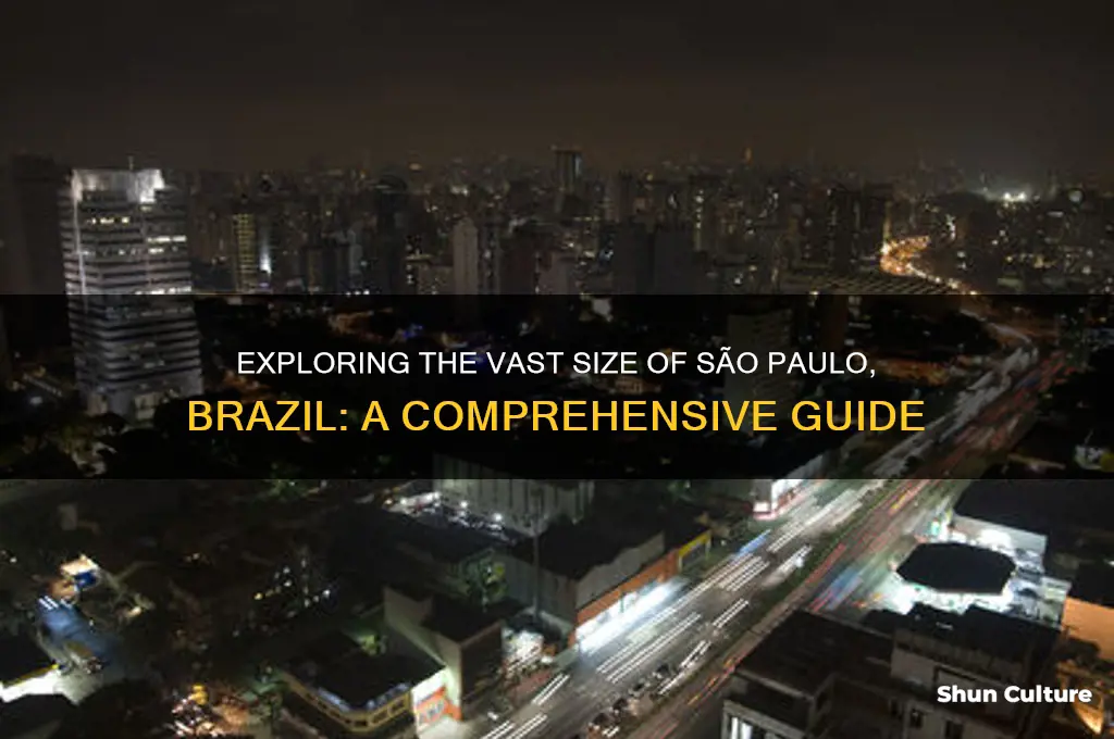 how large is sao paulo brazil