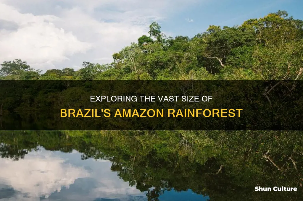how large is the amazon rainforest in brazil