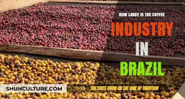Brazil's Coffee Industry: Size, Impact, and Global Dominance Explored
