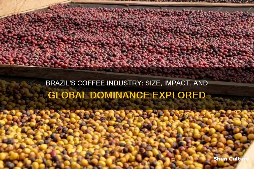 how large is the coffee industry in brazil