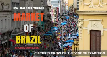 Exploring Brazil's Vast Consumer Market: Size, Trends, and Opportunities