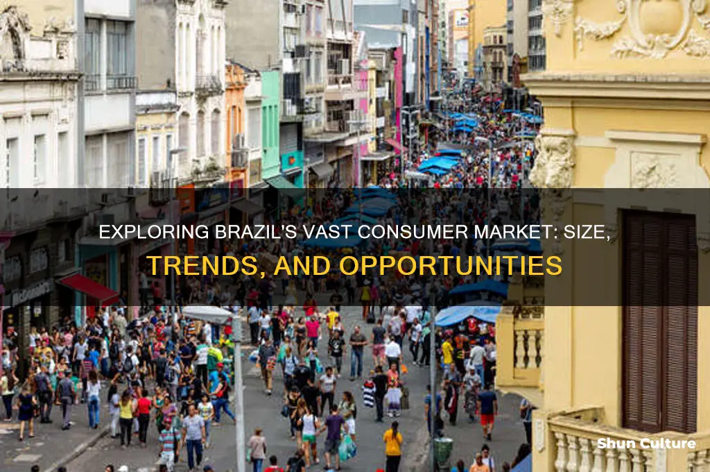 how large is the consumer market of brazil