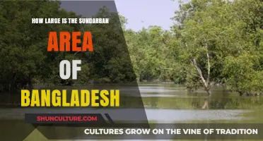 Exploring the Vast Sundarban: Bangladesh's Majestic Mangrove Wilderness Size